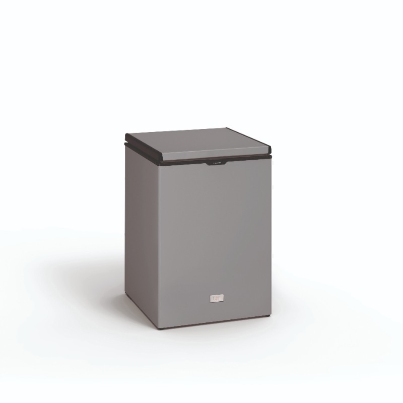 Arca Congeladora 102L Cinzenta - Gama Profissional