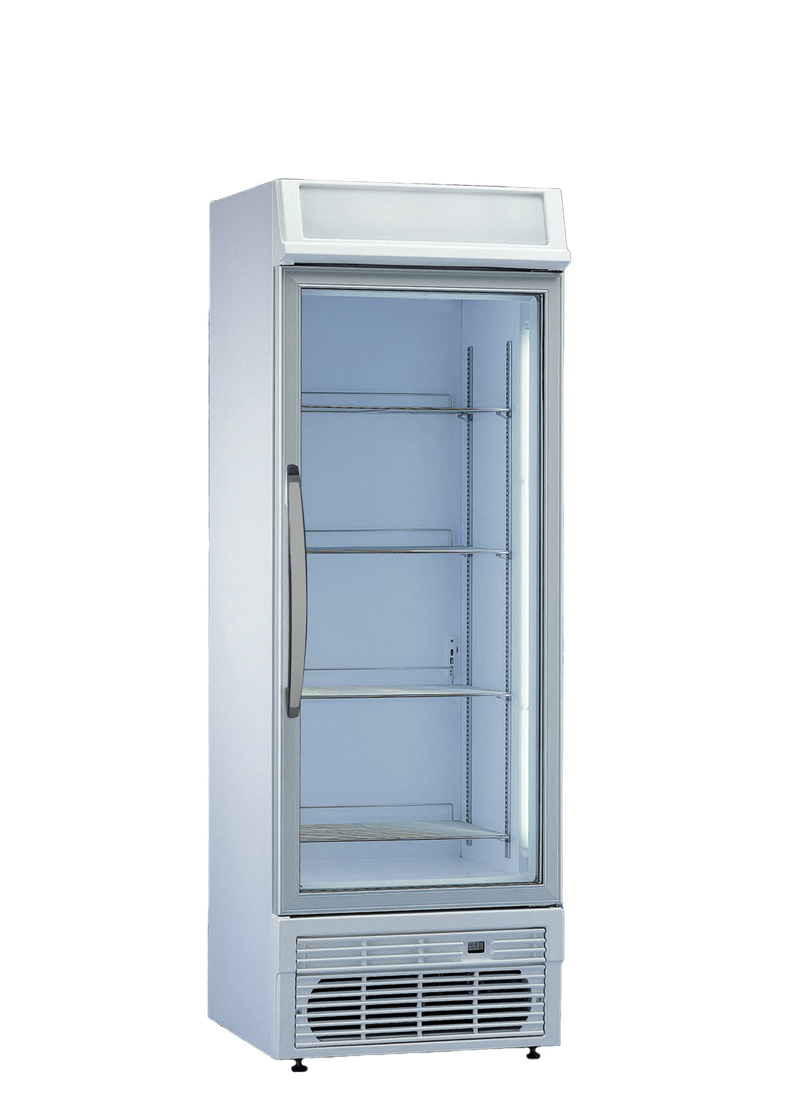 Armário Frigorífico Vertical Polo 400BTV -400L
