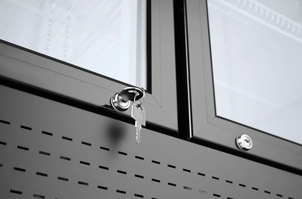 Frigorífico Expositor 512L Duas Portas com Painel Iluminado Elétrico