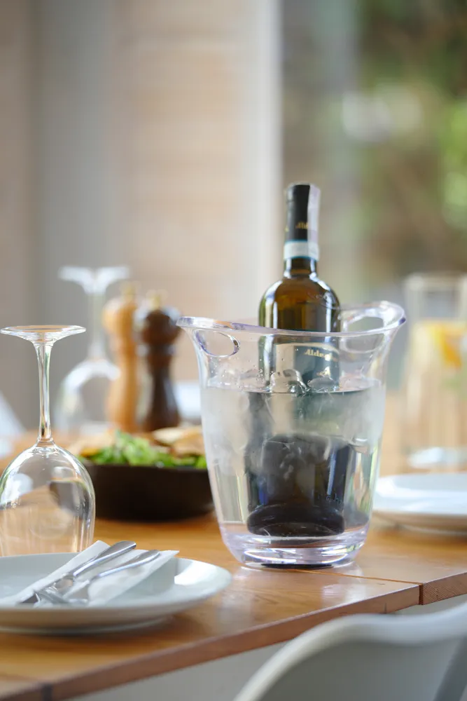 Refrigerador de Vinho 3L Transparente para Mesa 220x185x226mm