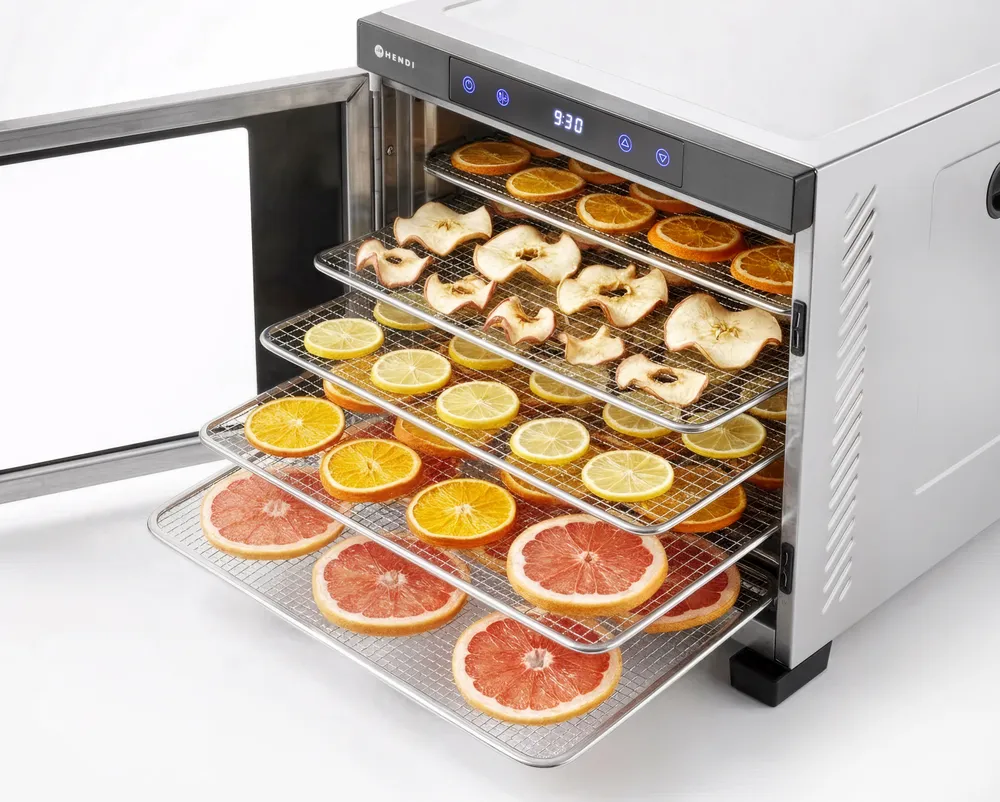 Desidratador de Alimentos 10 Tabuleiros 1000W Profissional