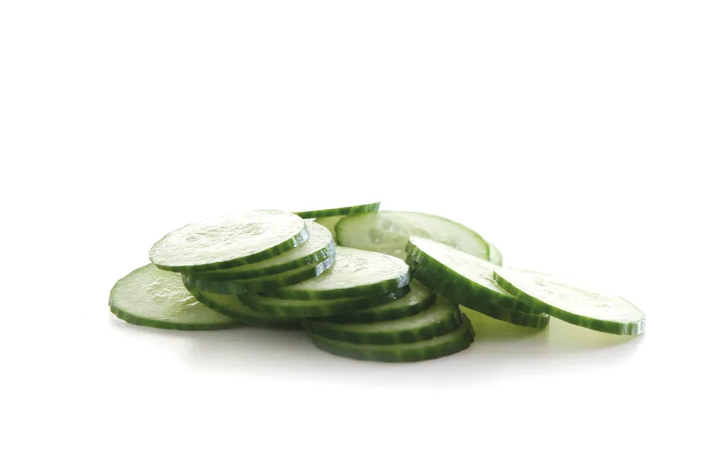 Disco Fatiador para Cortador de Vegetais Profissional