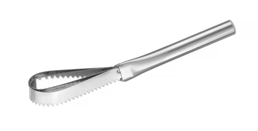 Escamador de peixe profissional em aço inoxidável