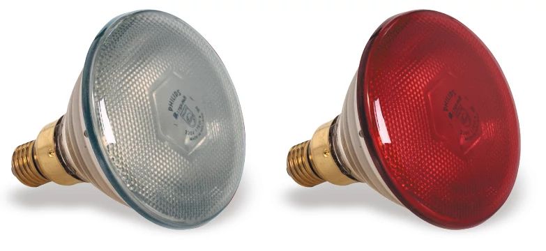 Lâmpada de Calor 250W Branca para Manutenção de Alimentos