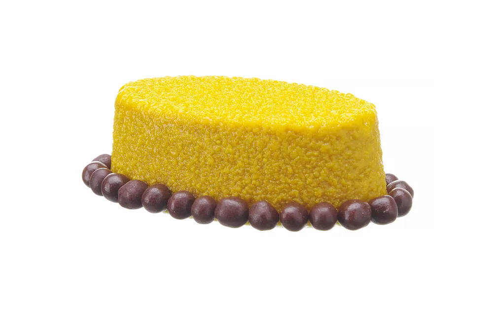 Molde de Silicone Oval Profissional 570x375mm - Cozedura e Congelação