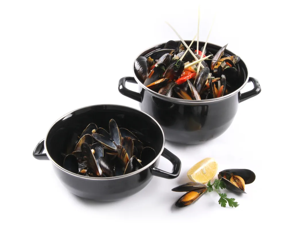 Panela para Mexilhões com Tampa 2.5L - Ø200mm Esmaltada