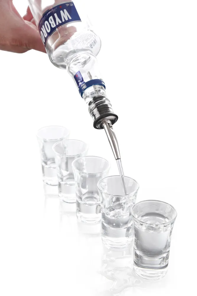 Vertedor de Fluxo Lento em Aço Inoxidável para Garrafas (6 Peças)