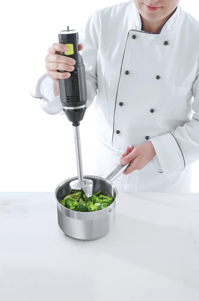 Triturador de Mão Profissional 250W para 1-8L