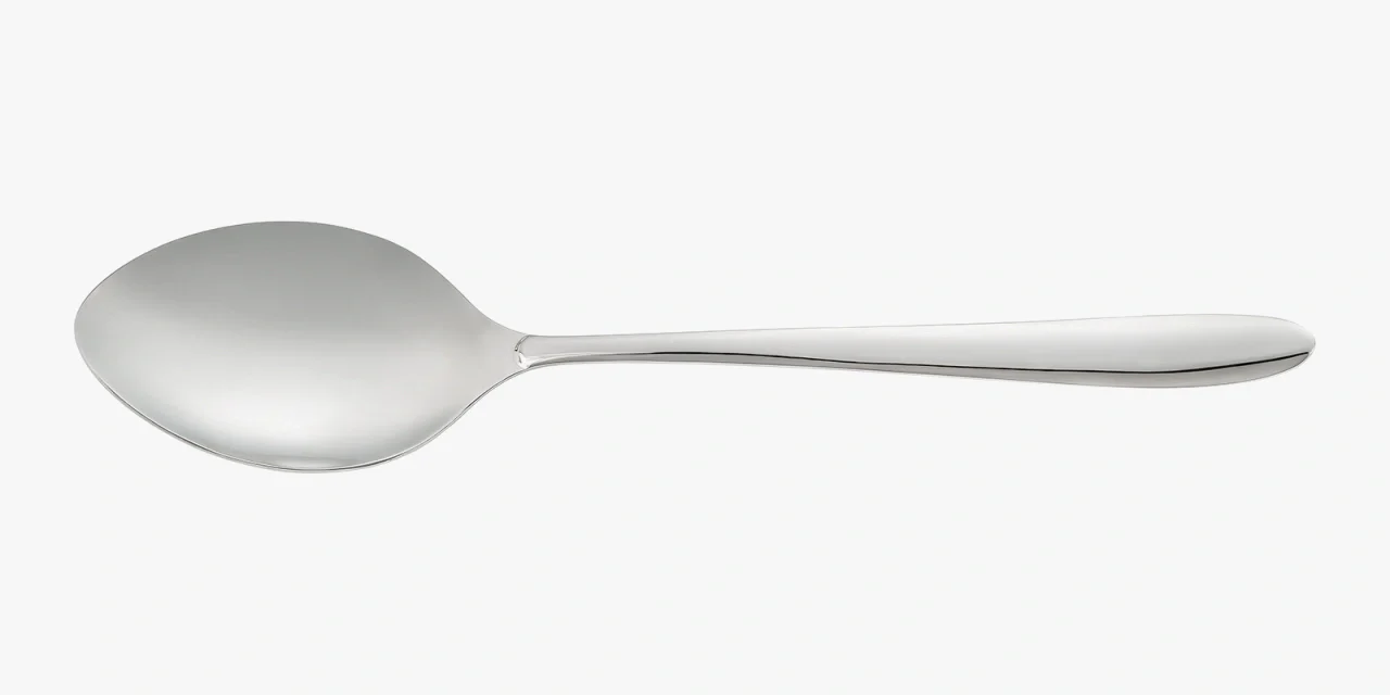 Colher para Servir Inox 18/10 Monobloco 265 mm