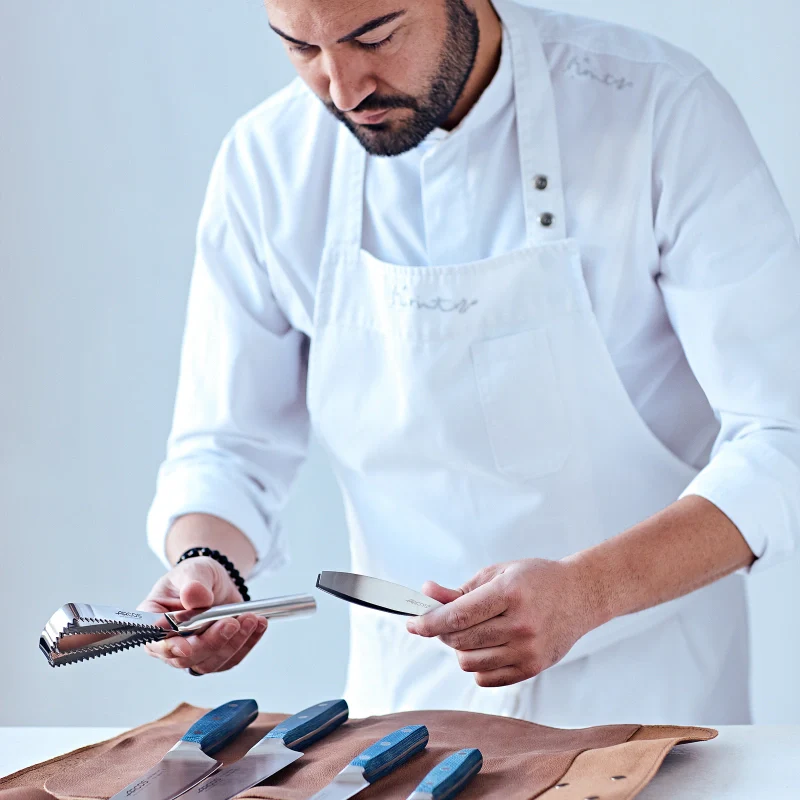 Escamador de Peixe Profissional Aço Inoxidável 260 mm