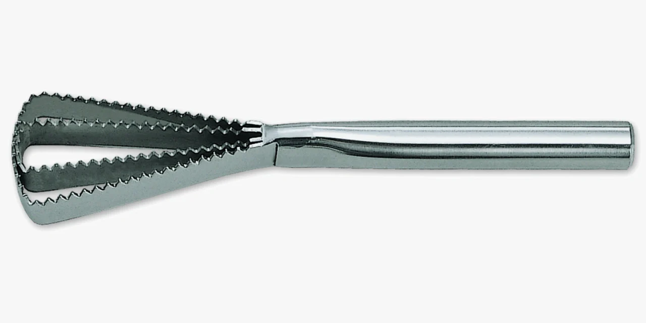 Escamador de Peixe Profissional Aço Inoxidável 260 mm
