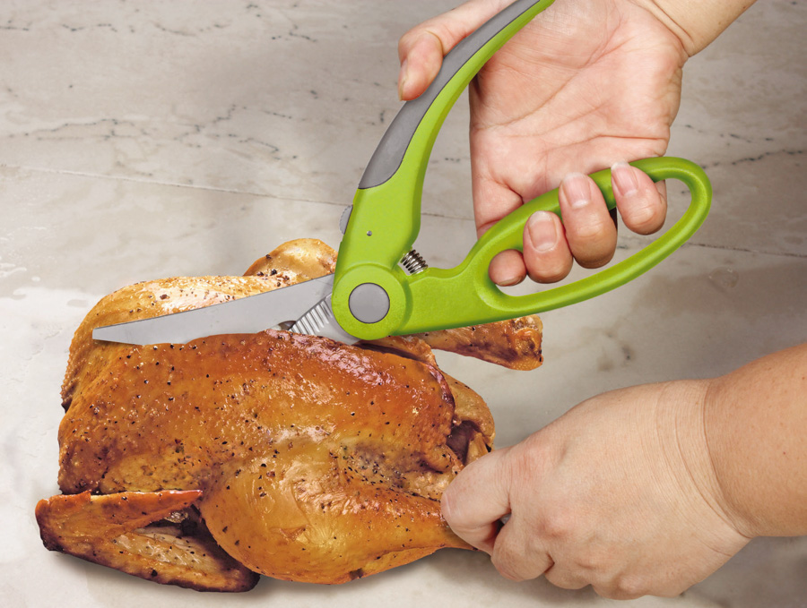 Tesoura para Aves Profissional em Aço Inoxidável e Plástico