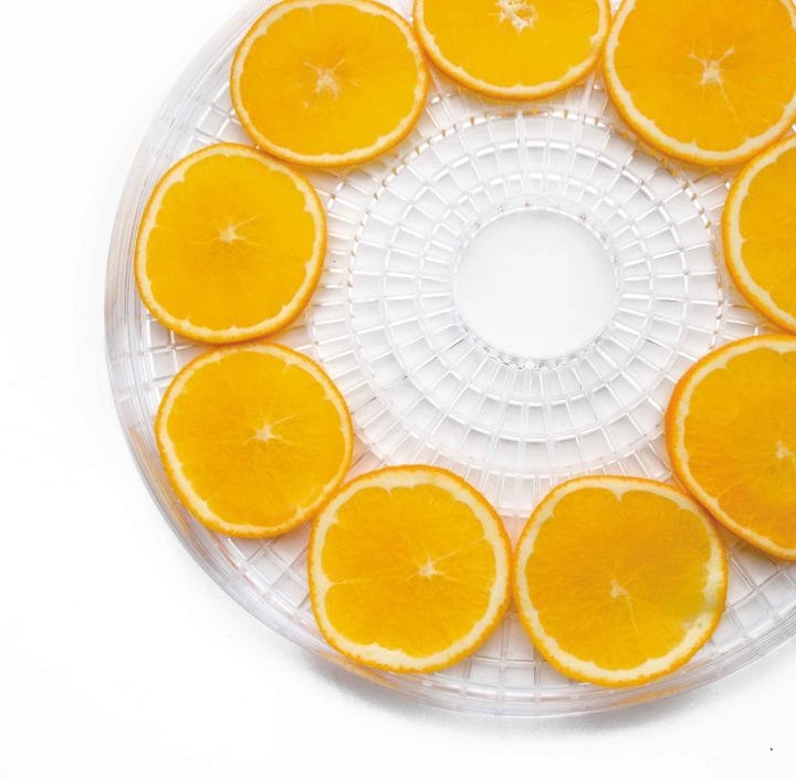 Desidratador de Alimentos 245 W