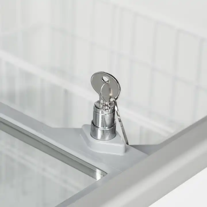 Arca Congeladora Porta vidro  IC551SC