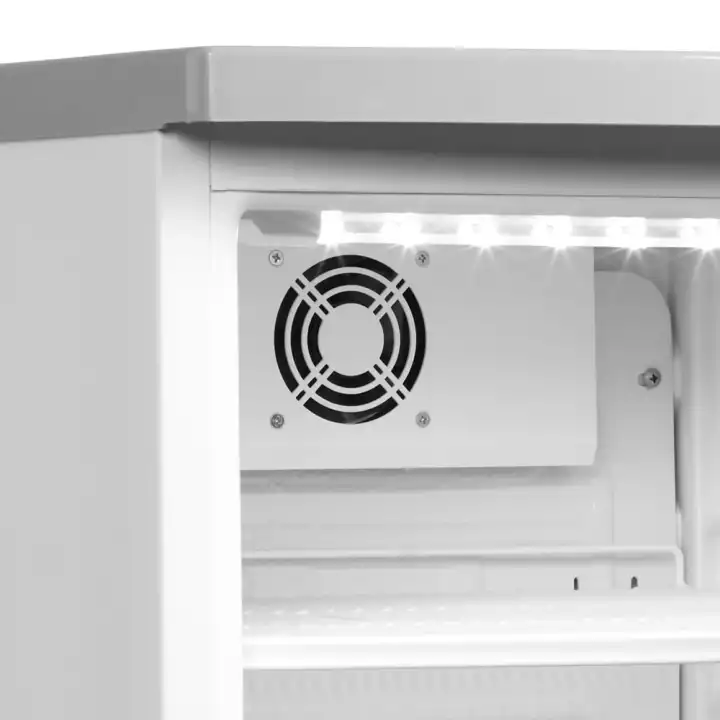 Arrefecedor de garrafas  BC145 con ventilador
