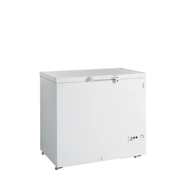 Arca Congeladora  FR305 SL