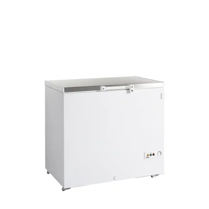 Arca Congeladora  FR305S SL