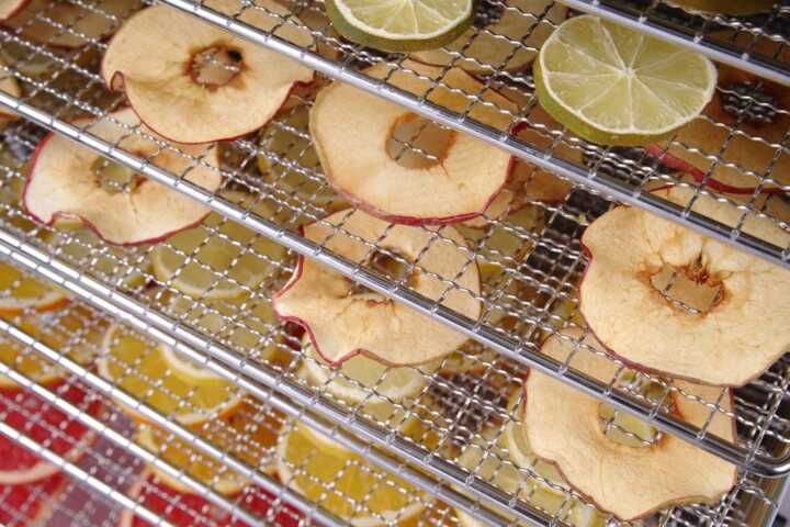 Desidratador de alimentos  10 tabuleiros, 10 tabuleiros, 230V/1000W, 430x550x(H)416mm
