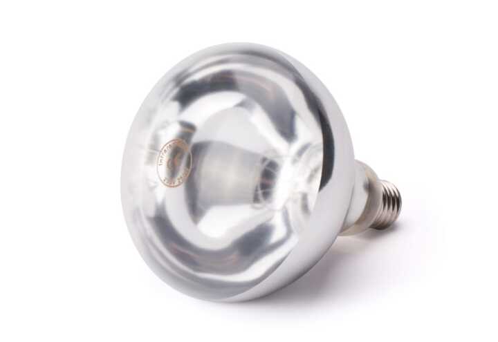 Lâmpada de calor de infravermelhos, Branco, 230V/250W, ø125x(H)170mm