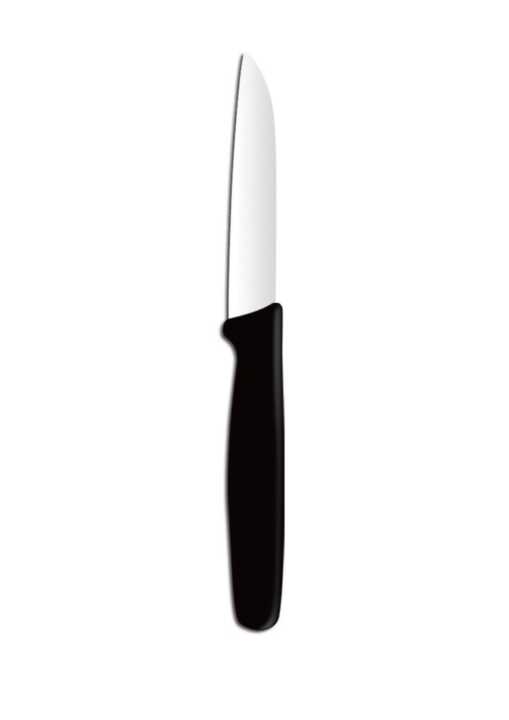 Faca de cozinha, Preto, (L)180mm
