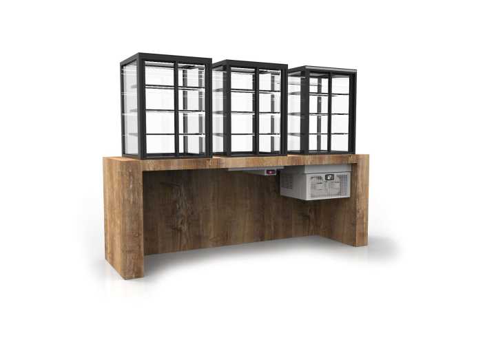 Vitrine aquecida DP-100-50C