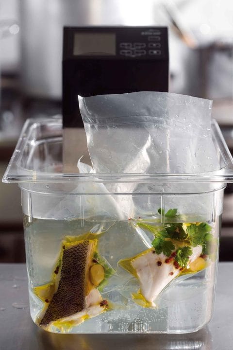 Cocedor a Baixa Temperatura Portátil Sous Vide